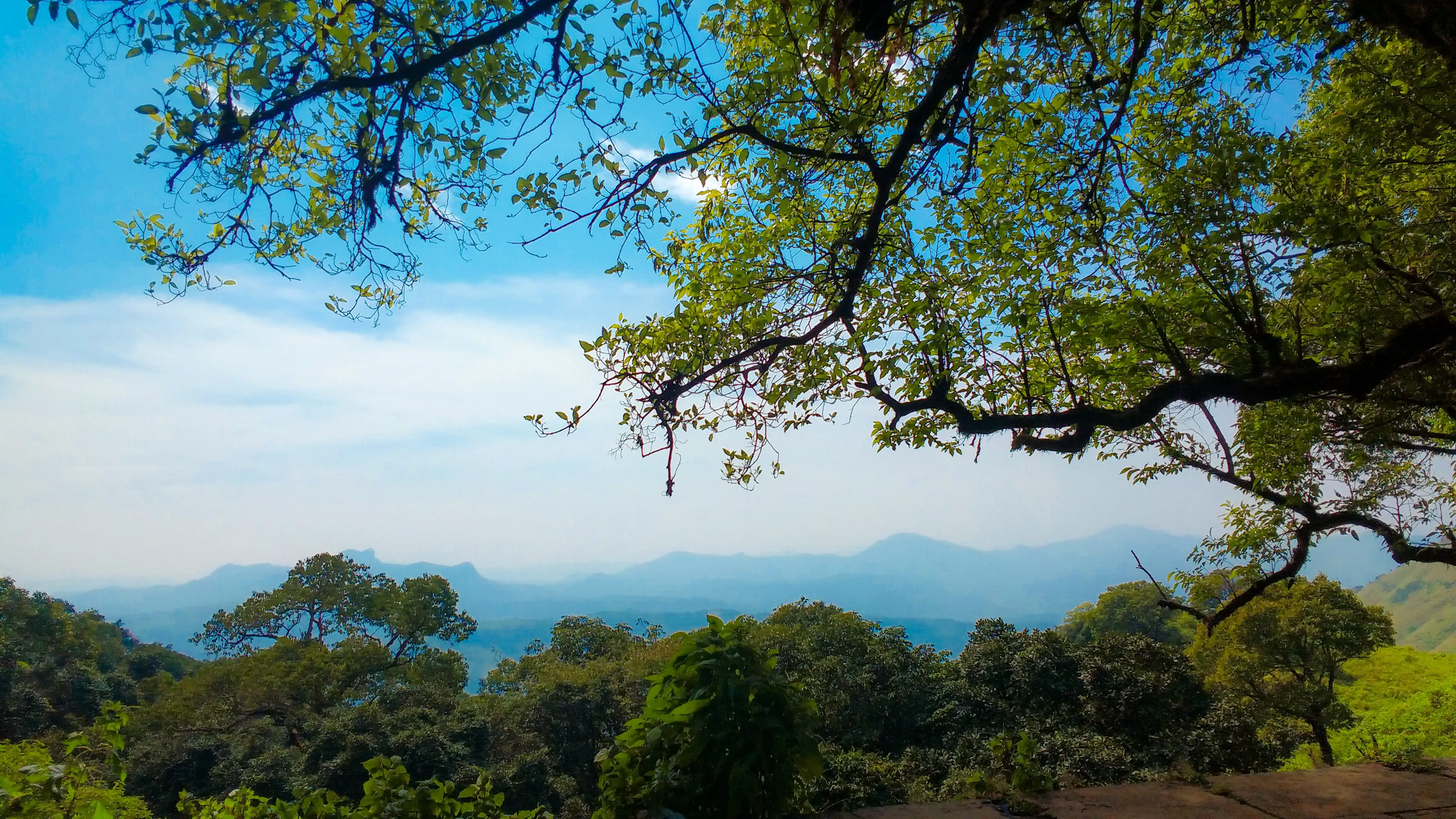 Gangadikal Trek