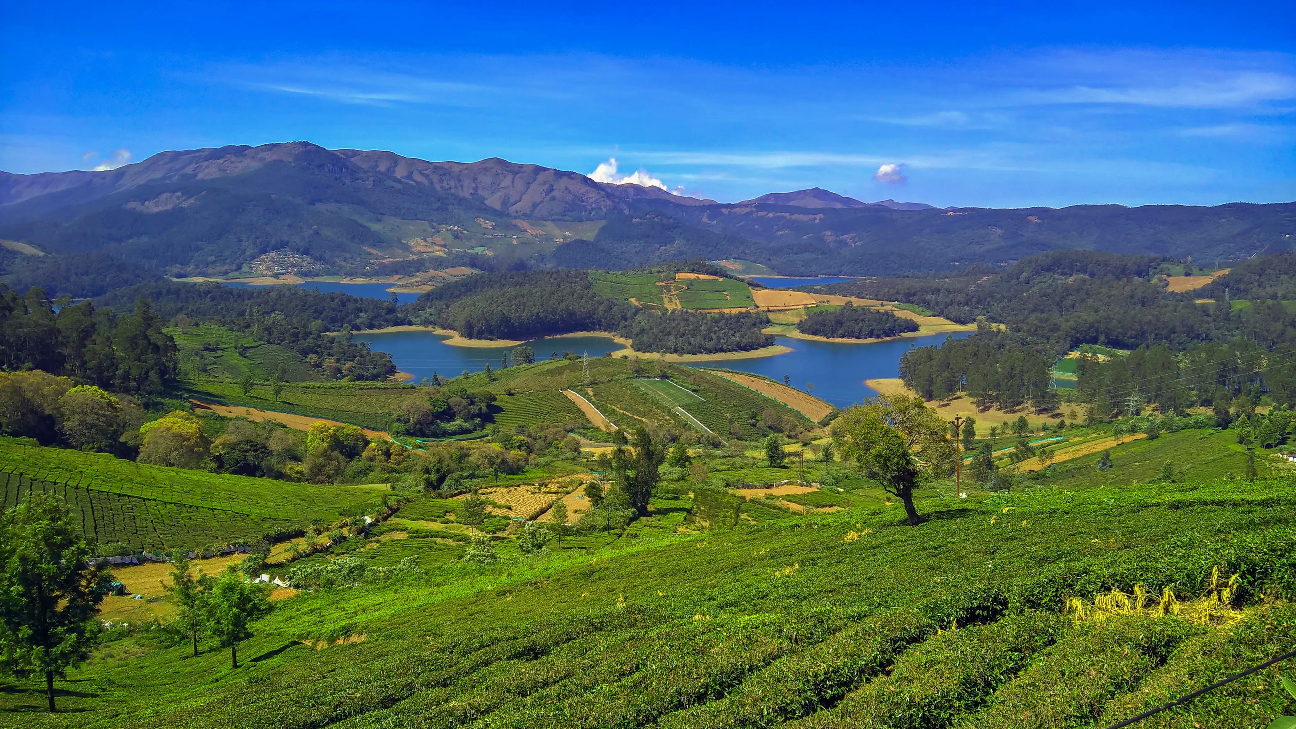 doddabetta peak ooty