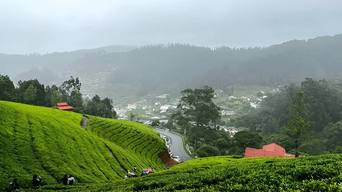 Ooty trip Package
